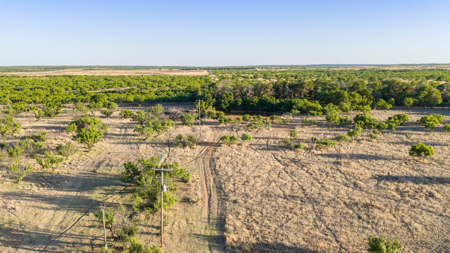 Cattle Ranch, Afton Tx, Recreational, Investment opportunities* - image 2