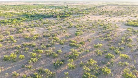 Cattle Ranch, Afton Tx, Recreational, Investment opportunities* - image 9