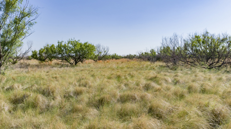 Cattle Ranch, Afton Tx, Recreational, Investment opportunities* - image 33