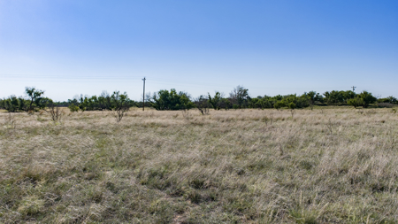 Cattle Ranch, Afton Tx, Recreational, Investment opportunities* - image 24