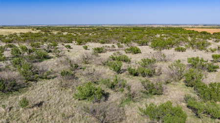 Cattle Ranch, Afton Tx, Recreational, Investment opportunities* - image 27