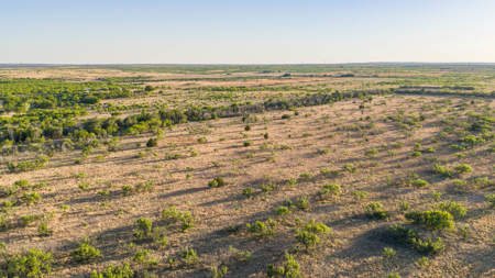 Cattle Ranch, Afton Tx, Recreational, Investment opportunities* - image 4