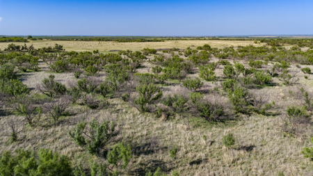 Cattle Ranch, Afton Tx, Recreational, Investment opportunities* - image 28