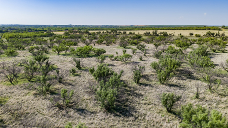 Cattle Ranch, Afton Tx, Recreational, Investment opportunities* - image 29