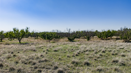 Cattle Ranch, Afton Tx, Recreational, Investment opportunities* - image 30