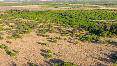 Cattle Ranch, Afton Tx, Recreational, Investment opportunities* - image 5