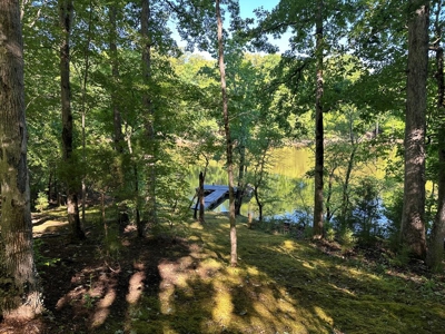 Southern Comfort: Private 11-Acre Log Home on Kerr Lake - image 45