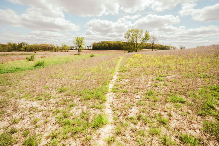 74 Acres in Dane County Town of York Rec, Hunting and Build Site - image 15