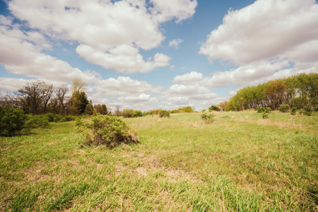 74 Acres in Dane County Town of York Rec, Hunting and Build Site - image 7