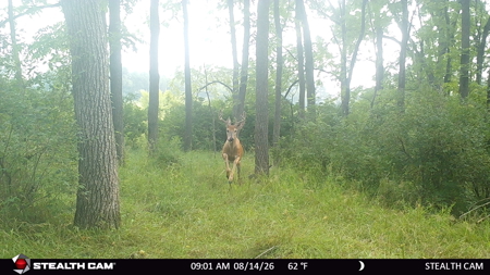 74 Acres in Dane County Town of York Rec, Hunting and Build Site - image 42