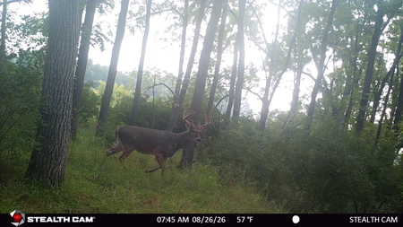 74 Acres in Dane County Town of York Rec, Hunting and Build Site - image 39