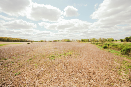 74 Acres in Dane County Town of York Rec, Hunting and Build Site - image 13
