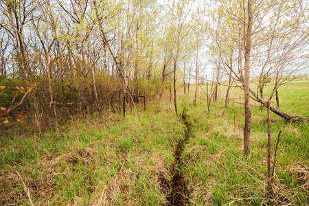 74 Acres in Dane County Town of York Rec, Hunting and Build Site - image 22