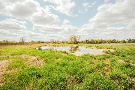 74 Acres in Dane County Town of York Rec, Hunting and Build Site - image 21