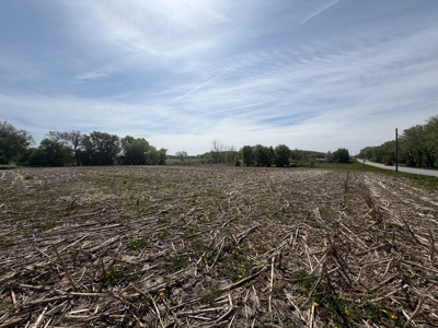 74 Acres in Dane County Town of York Rec, Hunting and Build Site - image 12