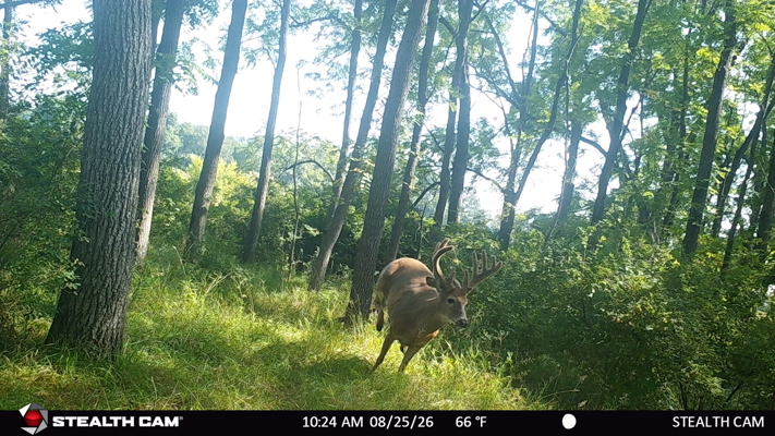 74 Acres in Dane County Town of York Rec, Hunting and Build Site