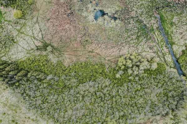74 Acres in Dane County Town of York Rec, Hunting and Build Site