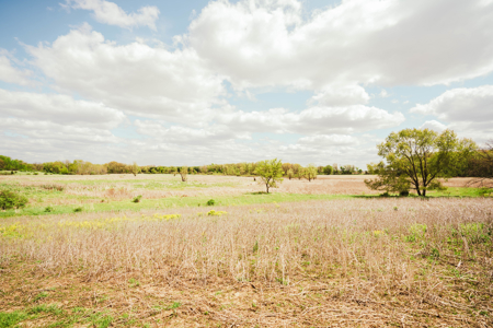 74 Acres in Dane County Town of York Rec, Hunting and Build Site - image 14