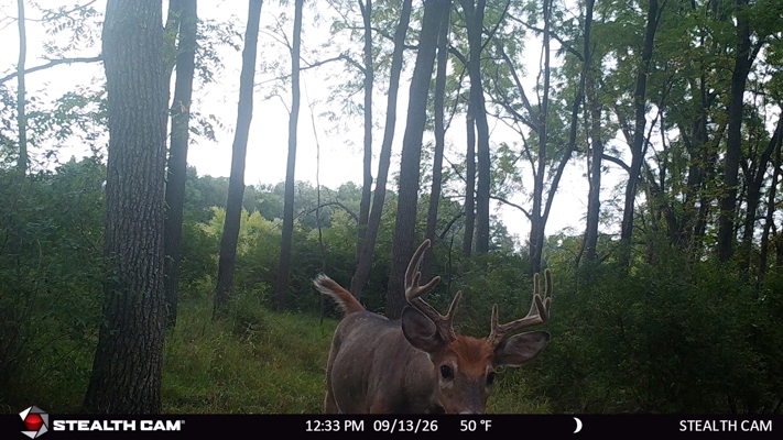 74 Acres in Dane County Town of York Rec, Hunting and Build Site