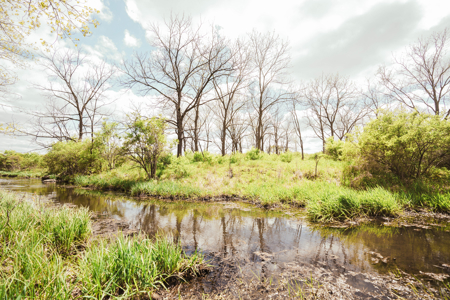 74 Acres in Dane County Town of York Rec, Hunting and Build Site - image 20