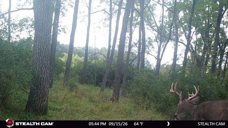 74 Acres in Dane County Town of York Rec, Hunting and Build Site - image 49