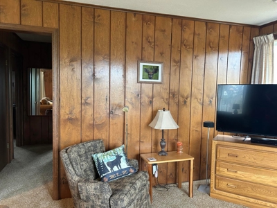 Northern Retreat in Canada Creek Ranch Atlanta MI - image 46