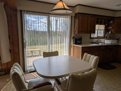 Northern Retreat in Canada Creek Ranch Atlanta MI - image 8