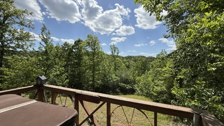 Private Ozark Mountain Home on Eight Acres - image 5