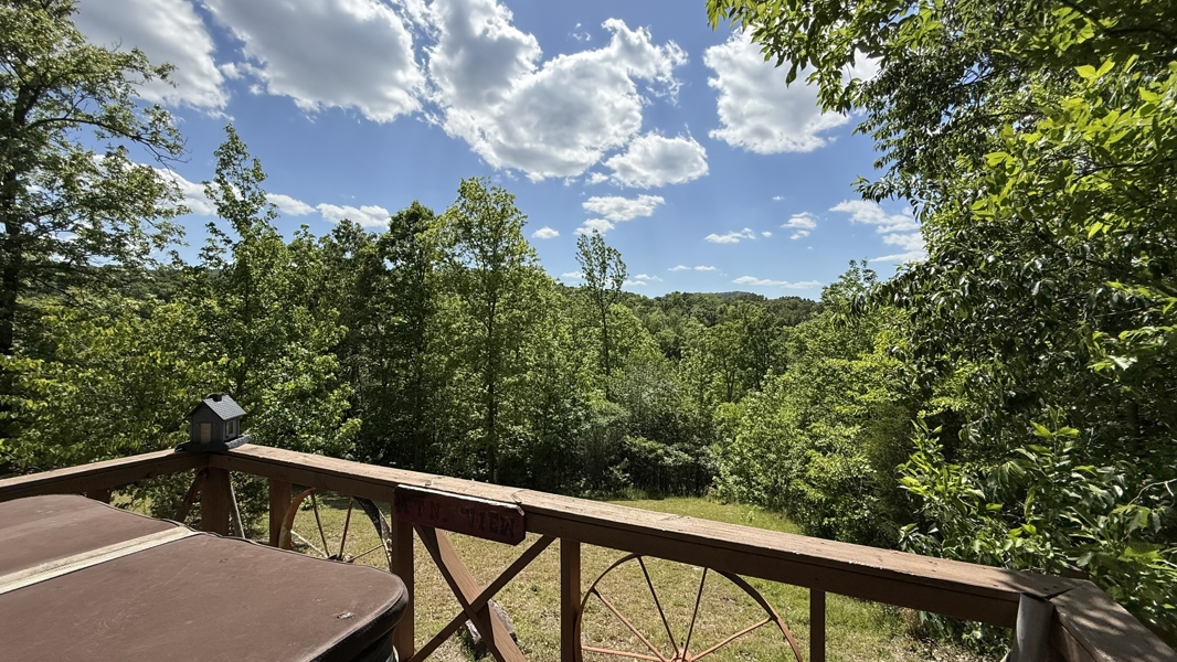 No Caption