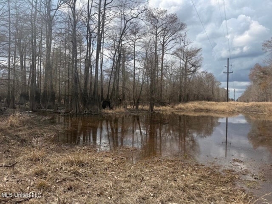 470 Acres on Calcasieu River in Allen Parish, LA