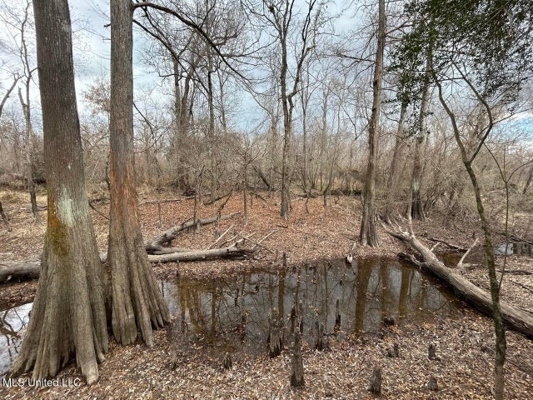 470 Acres on Calcasieu River in Allen Parish, LA