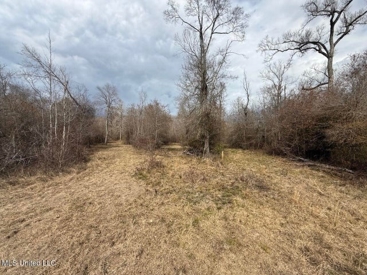 Listing 55