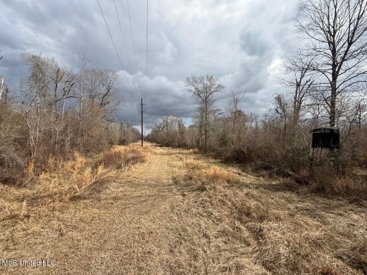 Listing 55