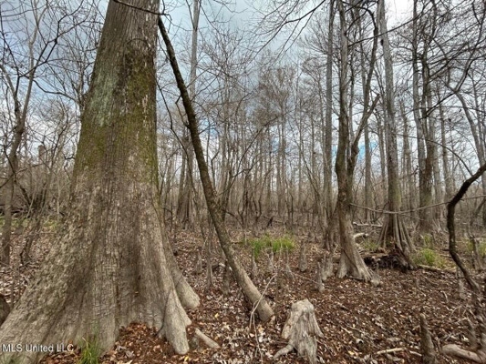 470 Acres on Calcasieu River in Allen Parish, LA