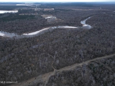 470 Acres on Calcasieu River in Allen Parish, LA - image 10