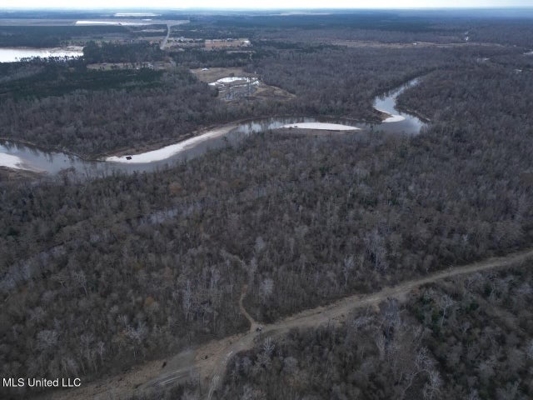 470 Acres on Calcasieu River in Allen Parish, LA