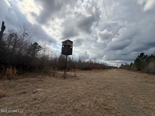 470 Acres on Calcasieu River in Allen Parish, LA