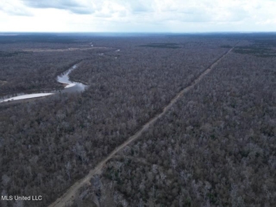 470 Acres on Calcasieu River in Allen Parish, LA - image 11