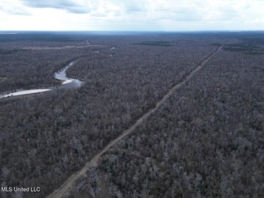 470 Acres on Calcasieu River in Allen Parish, LA