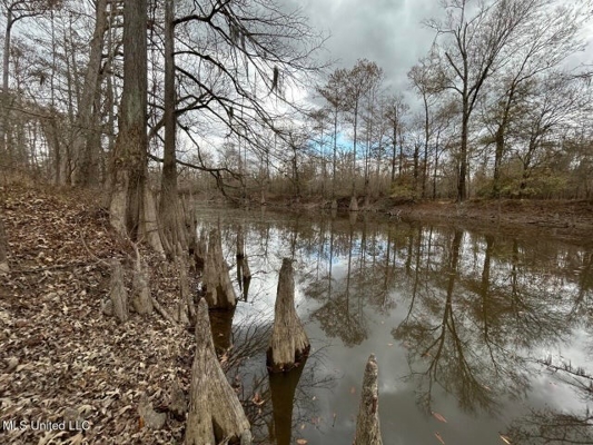 470 Acres on Calcasieu River in Allen Parish, LA