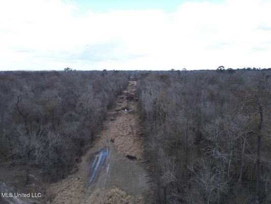 470 Acres on Calcasieu River in Allen Parish, LA