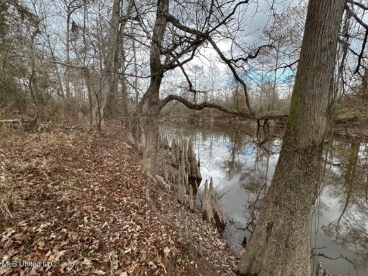 470 Acres on Calcasieu River in Allen Parish, LA