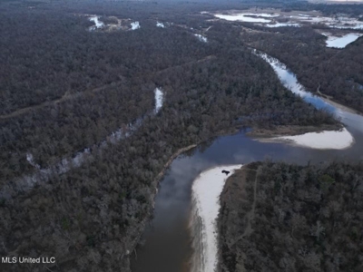 470 Acres on Calcasieu River in Allen Parish, LA - image 13