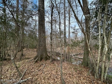 Listing 55
