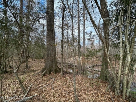470 Acres on Calcasieu River in Allen Parish, LA