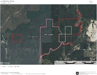 470 Acres on Calcasieu River in Allen Parish, LA - image 41