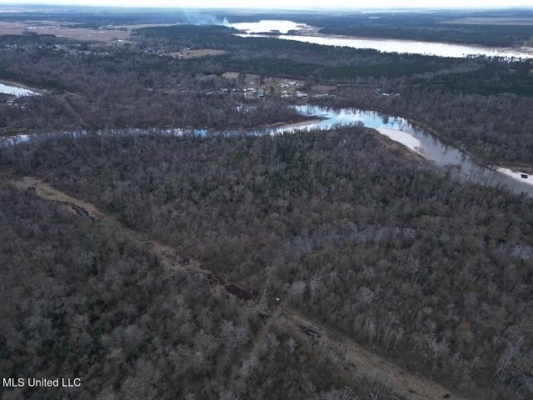 470 Acres on Calcasieu River in Allen Parish, LA