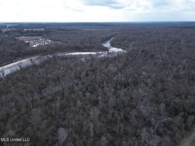 470 Acres on Calcasieu River in Allen Parish, LA - image 8