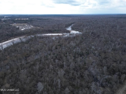 470 Acres on Calcasieu River in Allen Parish, LA