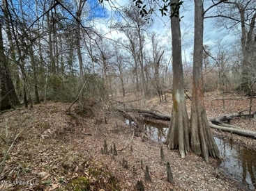 Listing 55